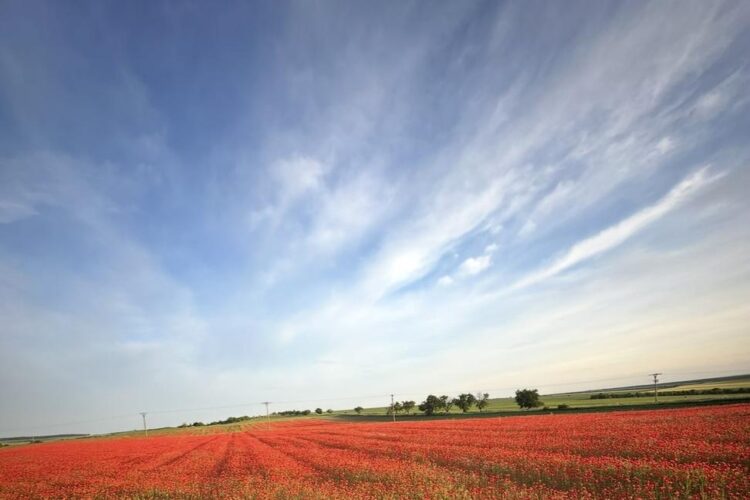 Príbeh prostitútky 1.diel: Detstvo