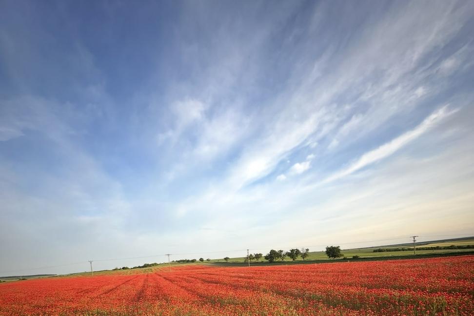 Príbeh prostitútky 1.diel: Detstvo